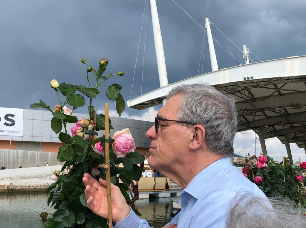 Esplorare le rose con l'olfatto